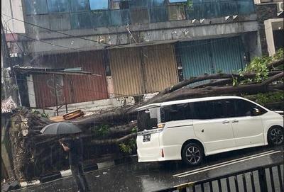 Sebuah pohon berukuran besar menimpa mobil berwarna putih di Jalan Bintaro Raya Kecamatan Kebayoran Lama Jakarta Selatan